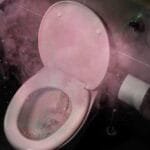 Tampa Do Vaso: A Decisão Crucial Que Ignoram Na Sua Saúde!