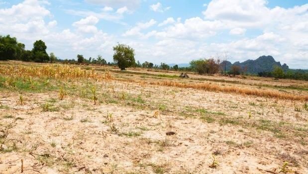 Crise Climática Ameaça Seguro Rural E Futuro Do Agro No Brasil
