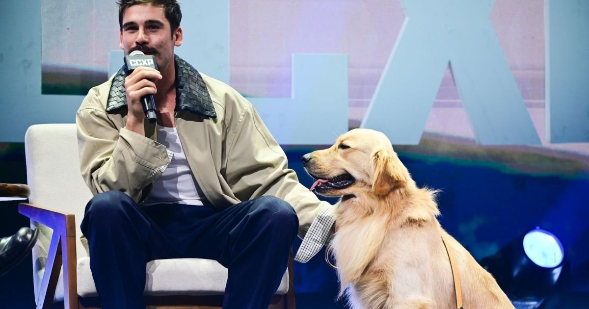 Fusca E Dog Na Ccxp: Prattes Acelera Corações E Emoção!