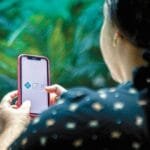 Pix Sem Lei: Bc Abre Mão E Aumenta Risco Ao Consumidor?