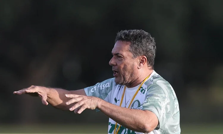 Vanderlei Luxemburgo Apresenta Melhora Na Uti Em Palmas E Adia Campanha Ao Senado Federal Pelo Tocantins