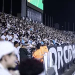 Santos X Remo: Onde Assistir Ao Vivo, Horário E Transmissão Da Partida Crucial Pela Série B Do Brasileirão