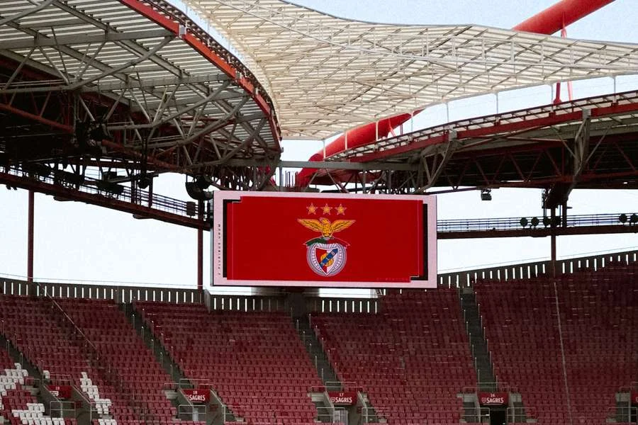 Benfica Nega Direito De Preferência Sobre Ações Do ‘rei Dos Frangos’ Em Venda A Fundo Americano