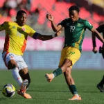 Miguel Cardoso Exalta ‘oportunidade Fantástica’ De Sibiya No Lille E Detalha Desafios Do Futebol Francês