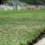 Maracanã E Mané Garrincha Ganham Gramado Inovador Com Recuperação 30% Mais Rápida