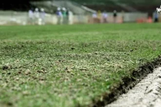 Maracanã E Mané Garrincha Ganham Gramado Inovador Com Recuperação 30% Mais Rápida
